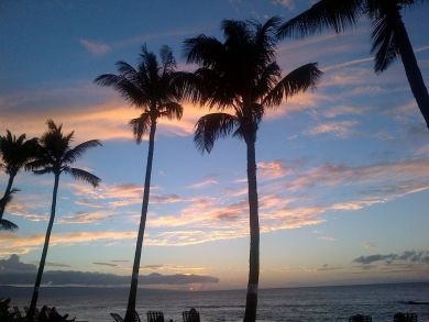 Ocean Views Updated Unit with Lanai and World Class Beach